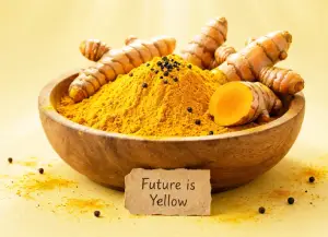 haldi 2a